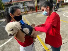 Se realizó Jornada de Vacunación Canina y Felina