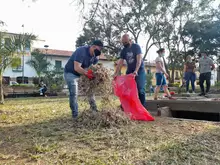 Acciones que aportan al desarrollo del Municipio