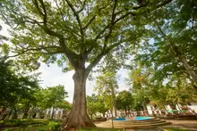 Parque La Libertad 