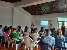 Reunión del comité de Salud Mental y Prevención del consumo y control de sustancias psicoactivas