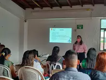 Reunión del comité de Salud Mental y Prevención del consumo y control de sustancias psicoactivas