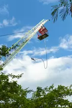 Bungee Jumping