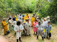 Se realizó práctica en campo de apicultura