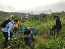 Jornada de recolección de caracol africano en los sectores Villa Carola y el Bosque