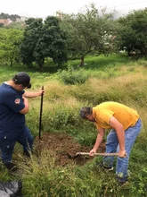 Jornada de recolección de caracol africano en los sectores Villa Carola y el Bosque