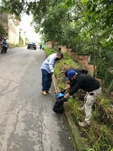 Jornada de recolección de caracol africano en los sectores Villa Carola y el Bosque