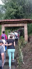 Excelente participación en la Caminata Más Arrecha