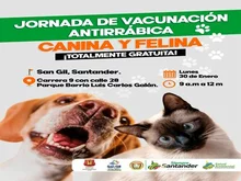 Jornada de Vacunación Antirrábica Canina y Felina 1