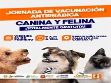 Jornada de Vacunación antirrábica Canina y Felina - Barrio Niño de Jesús