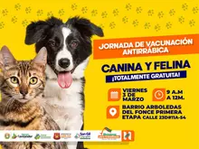 Jornada de vacunación antirrábica Canina y Felina Barrio Arboledas del Fonce Primera Etapa