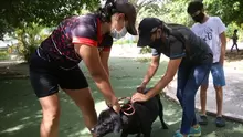 Jornada de Vacunación antirrábica canina y felina