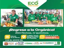 Regrese a lo orgánico con EcoMercado