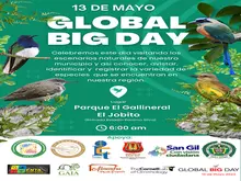 13 de mayo Global Big Day