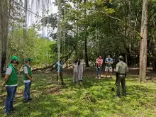 Gran reapertura del Parque Natural el Gallineral