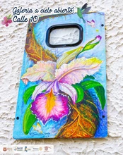 Nueva galería a cielo abierto por las calles de San Gil
