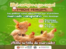 Mercado campesino Parque principal