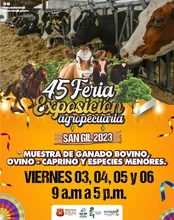 Pa´ferias desde el viernes 3 de noviembre