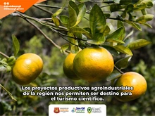 Visita universitaria para conocer la producción agroindustrial de la región