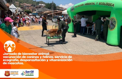 Se realizó jornada de bienestar animal